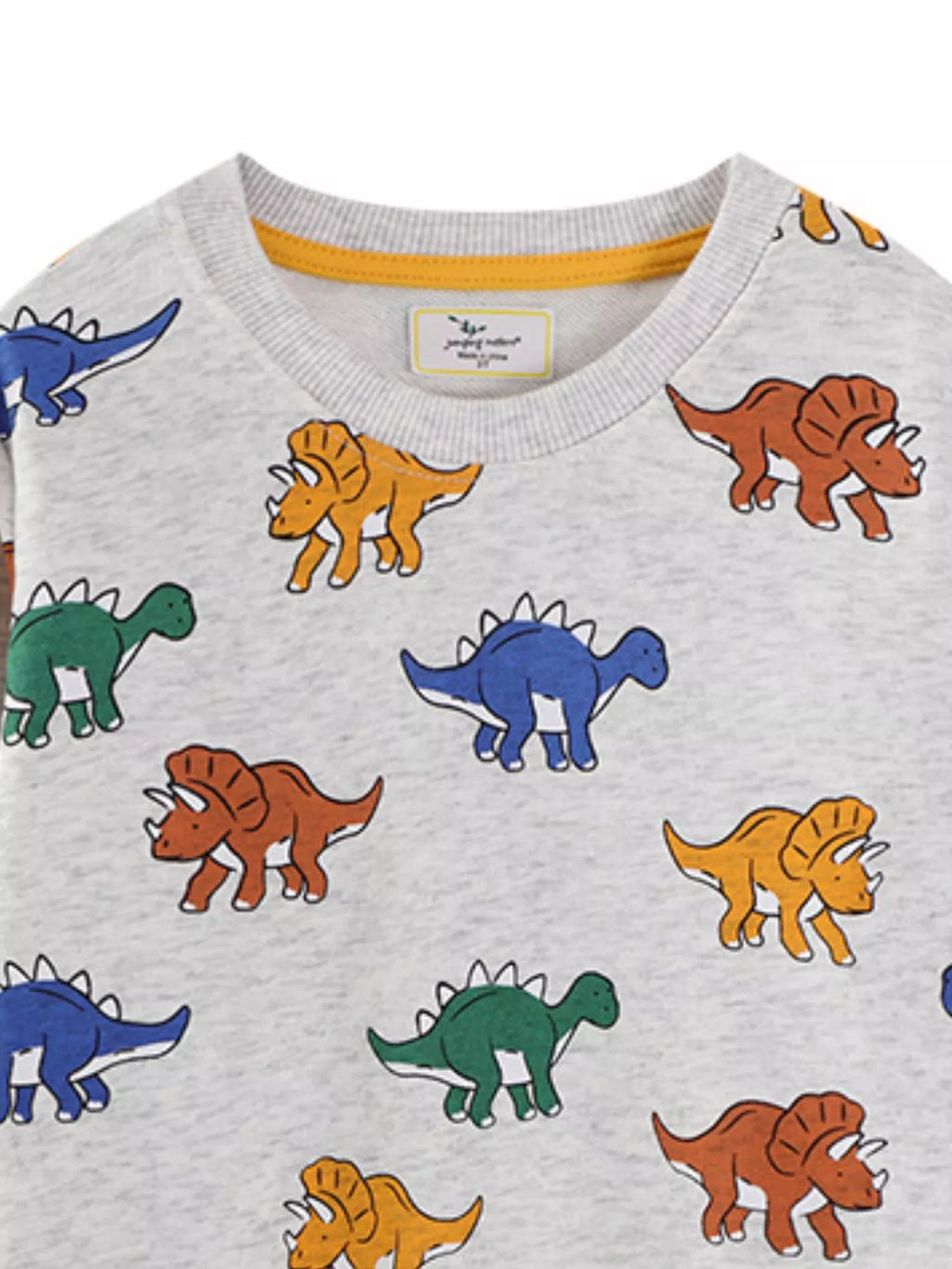 Children's Dinosaur Print Crew Neck Sweatshirt