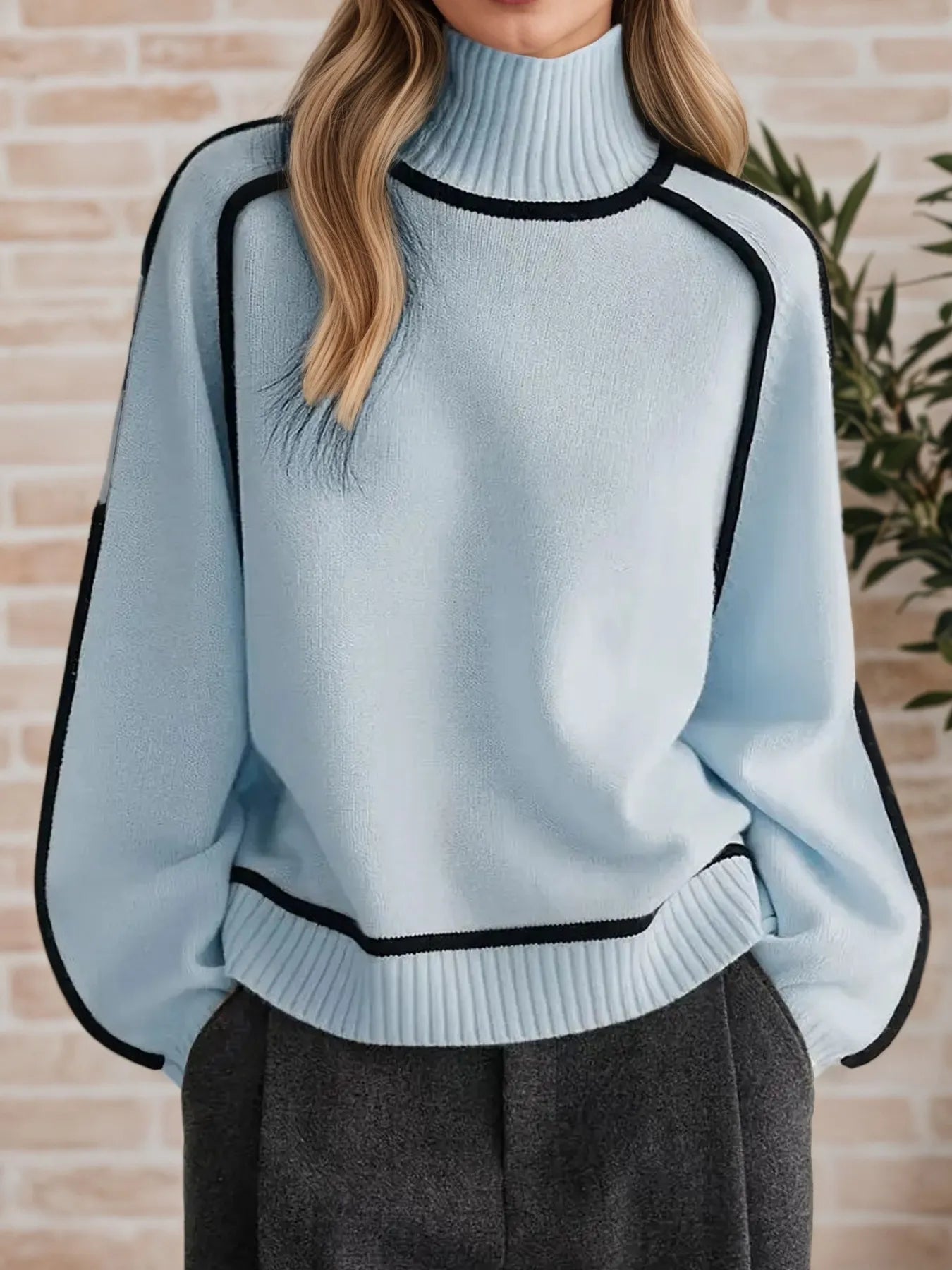 Contrast Trim Turtleneck Sweater