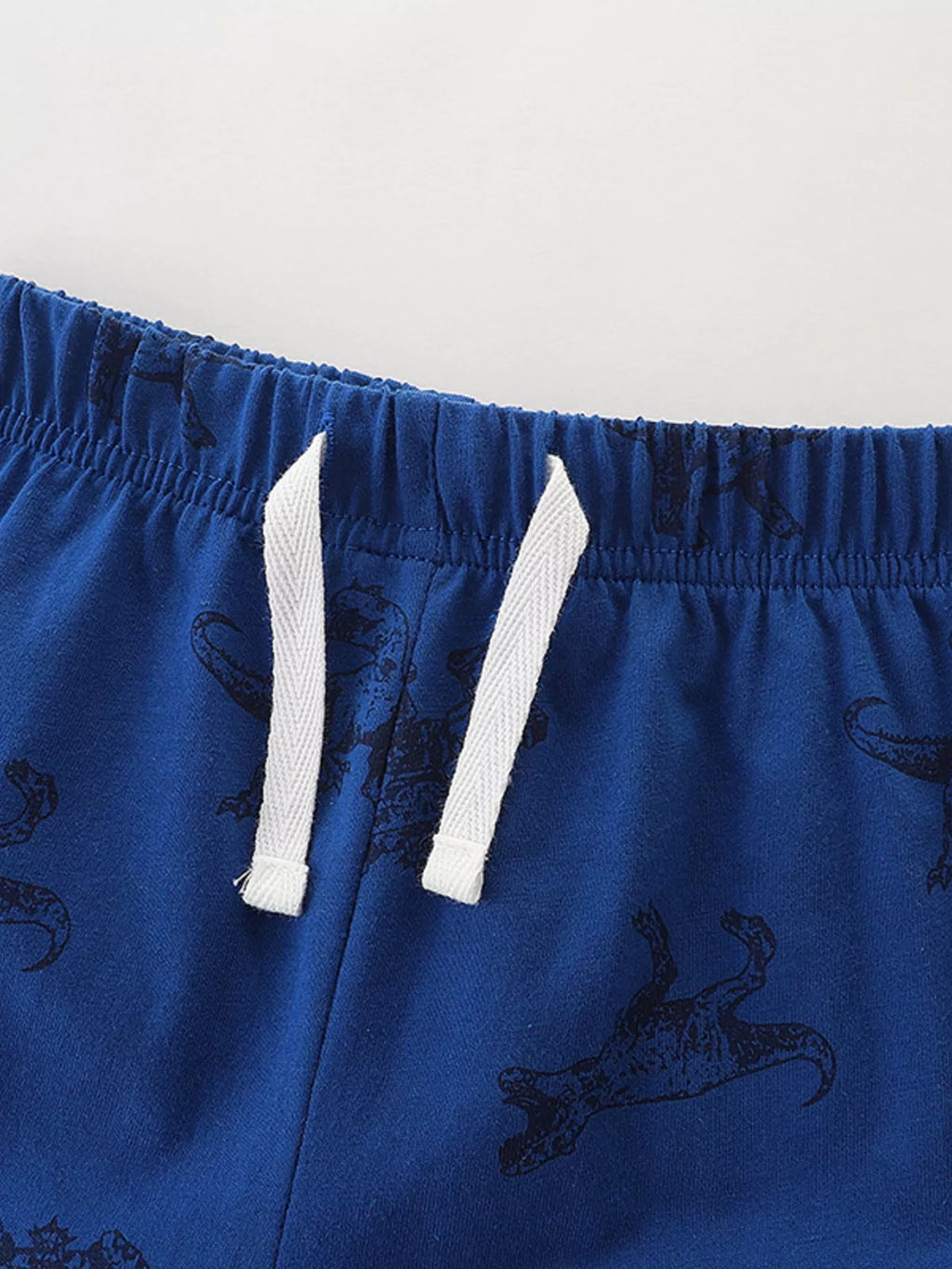 Children's Dinosaur Graphic Tee and Shorts Set