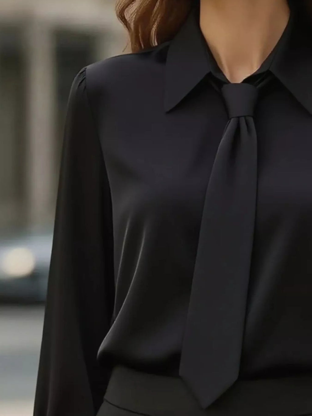 Collared Neck Long Sleeve Blouse