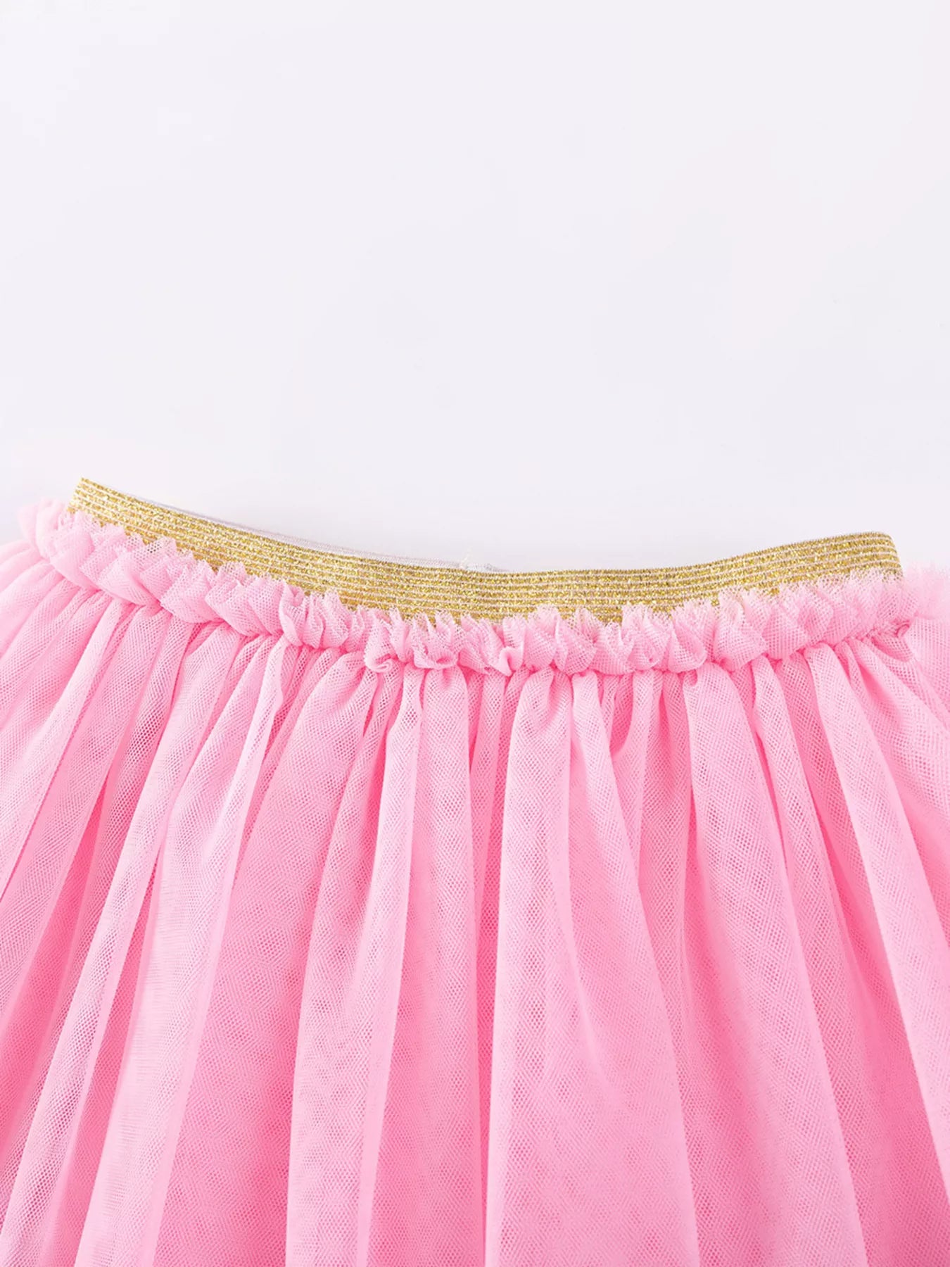 Children's Rainbow Ruffle Sleeve Top and Tulle Skirt Set