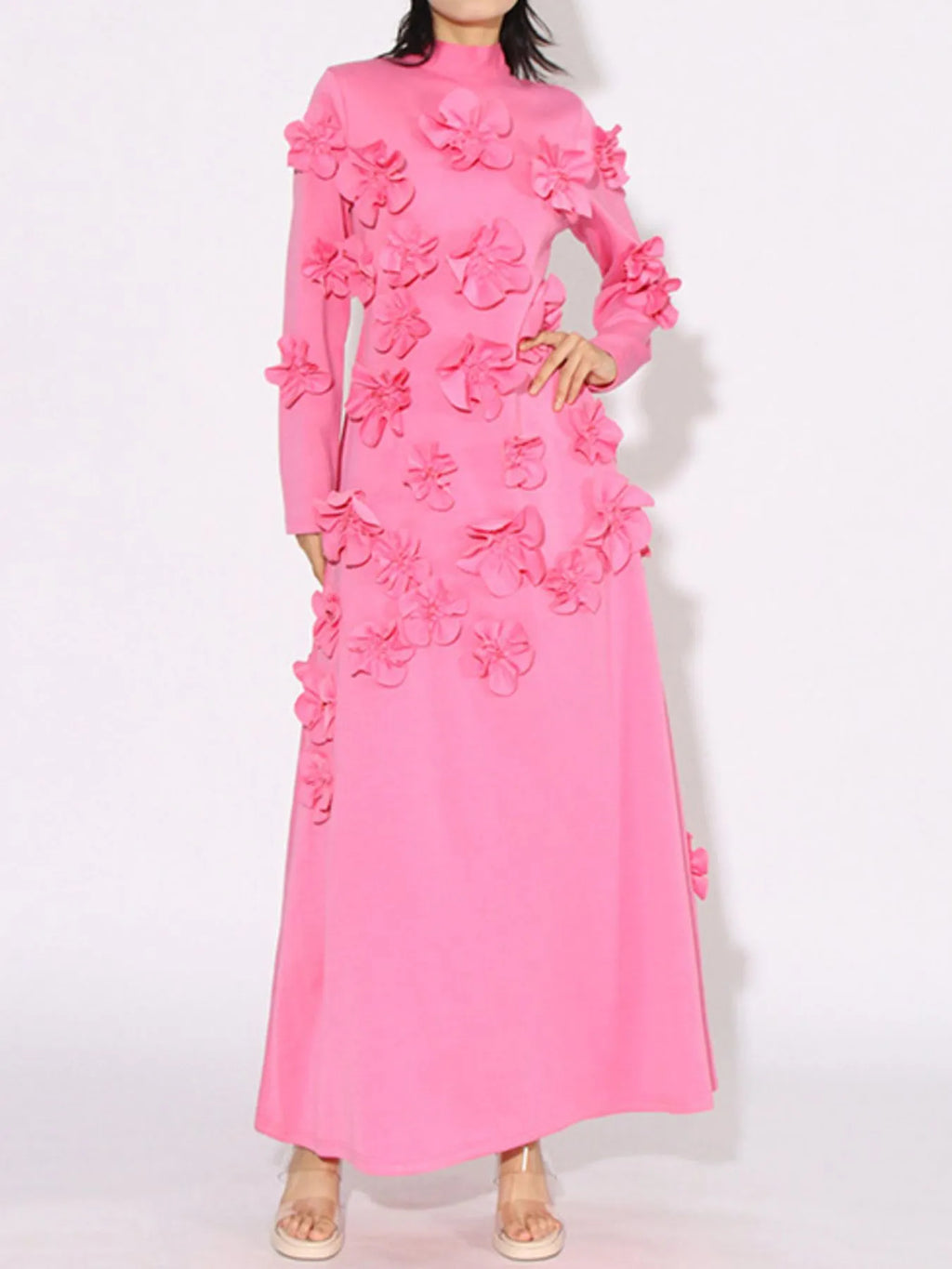 Floral Applique Long Sleeve Maxi Dress