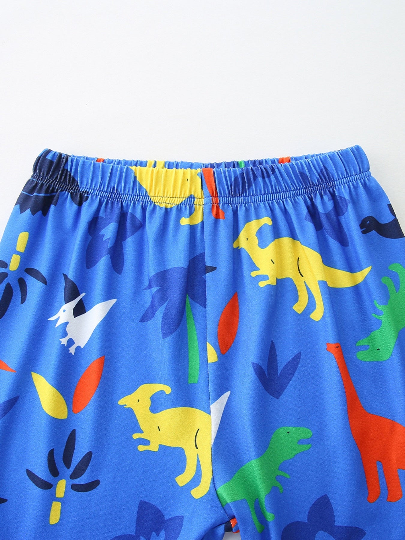 Children's Dino-Print Short Sleeve Tee and Shorts Set