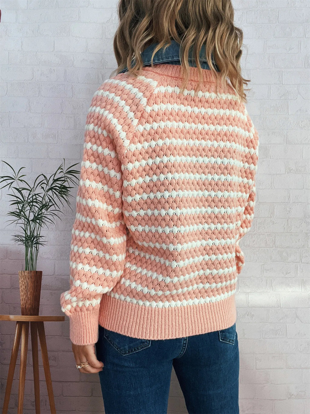 Contrast Striped Sweater with Denim Collar