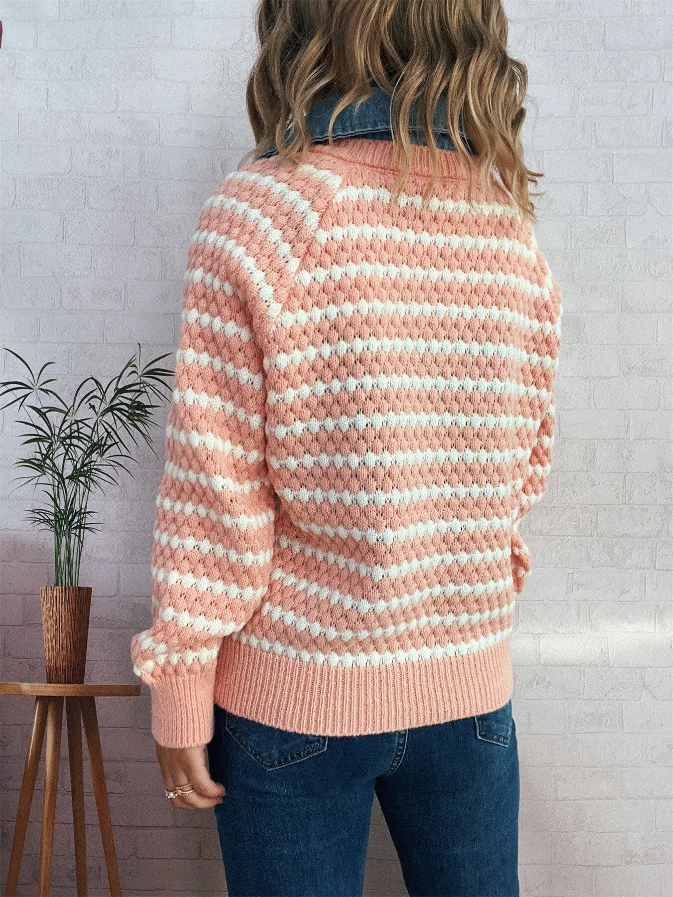 Contrast Striped Sweater with Denim Collar