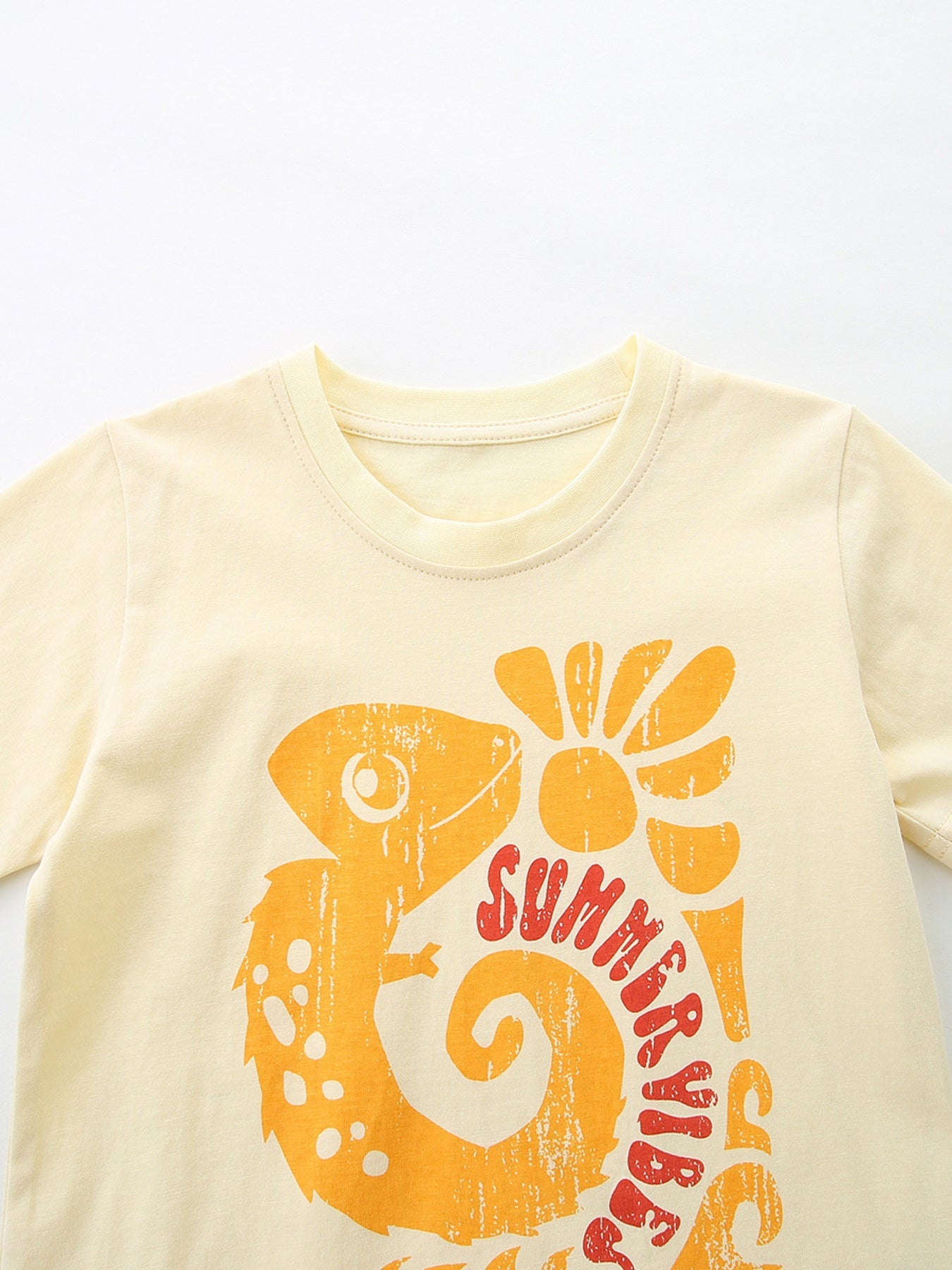 Children's Graphic Tee & Geometric Print Shorts Set