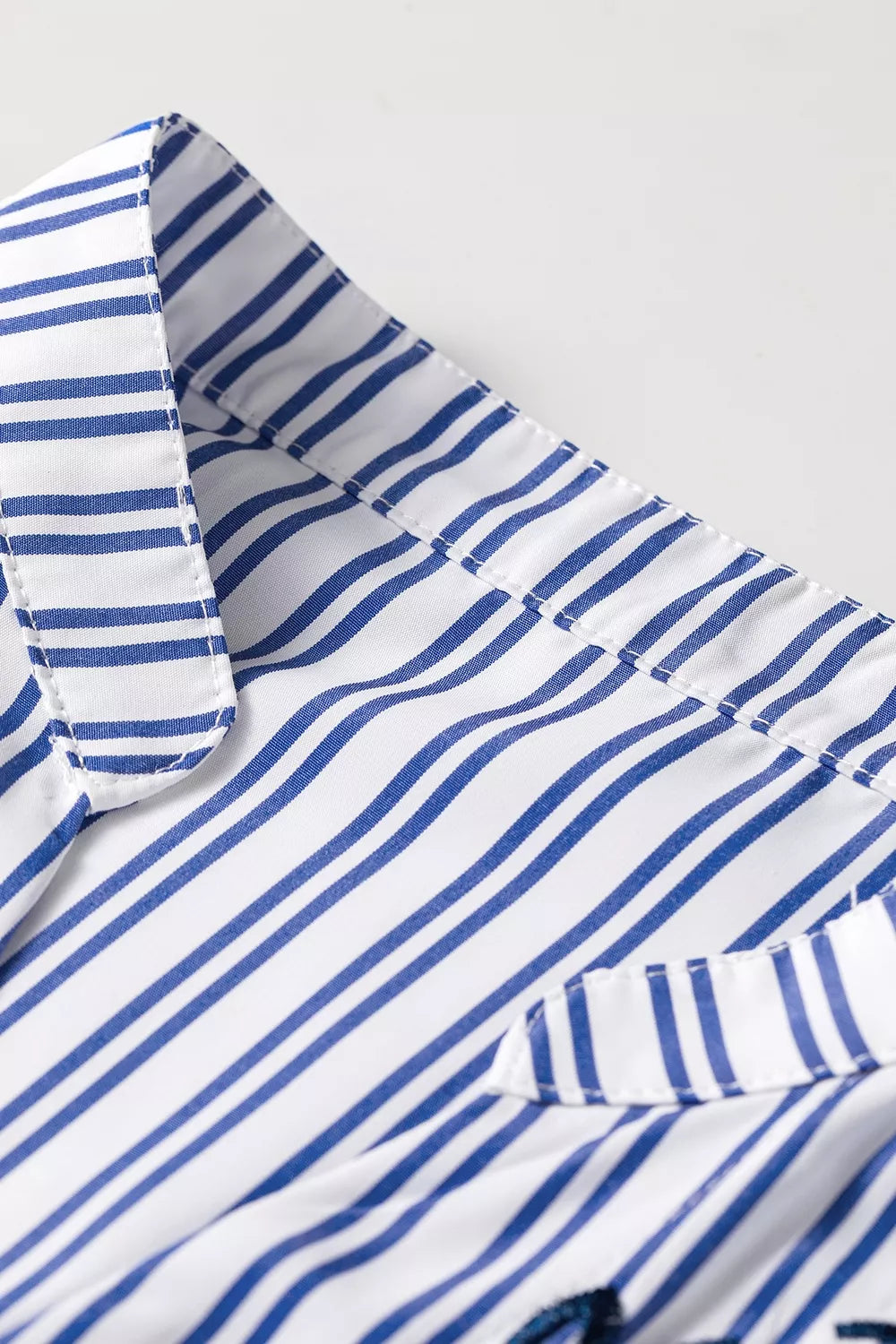 Stripe Embroidered Detail Button Front Long Sleeve Shirt