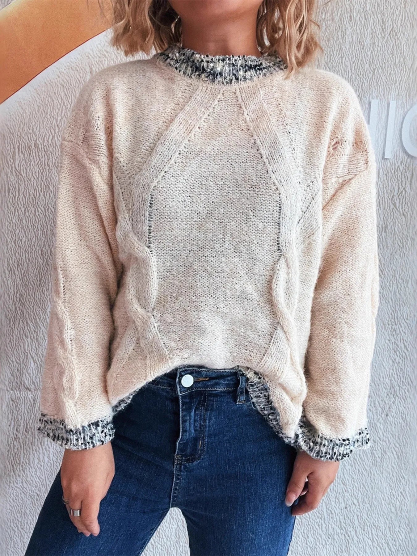 Contrast Trim Detail Round Neck Sweater