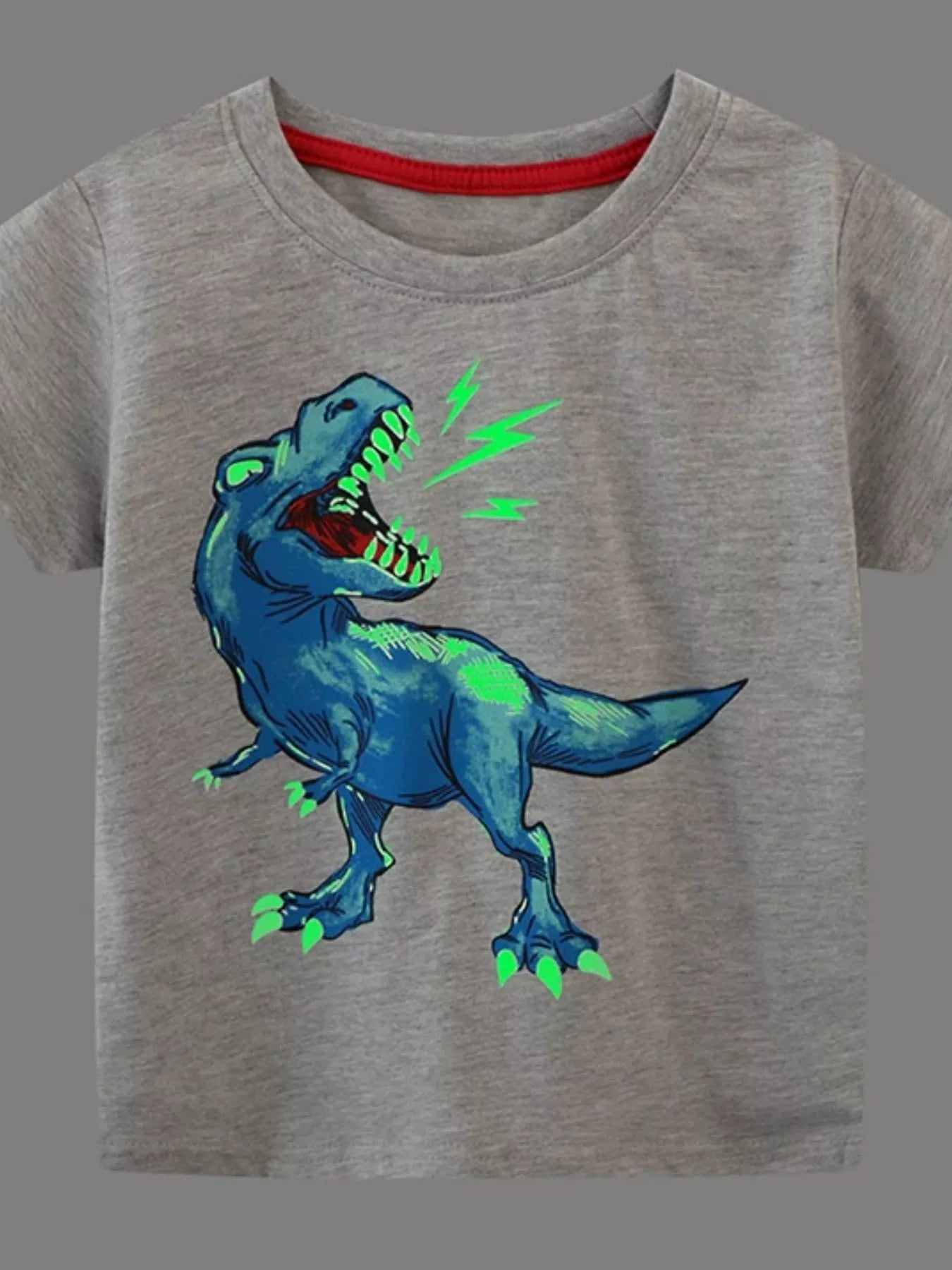 Children's Dinosaur Graphic Short Sleeve T-Shirt