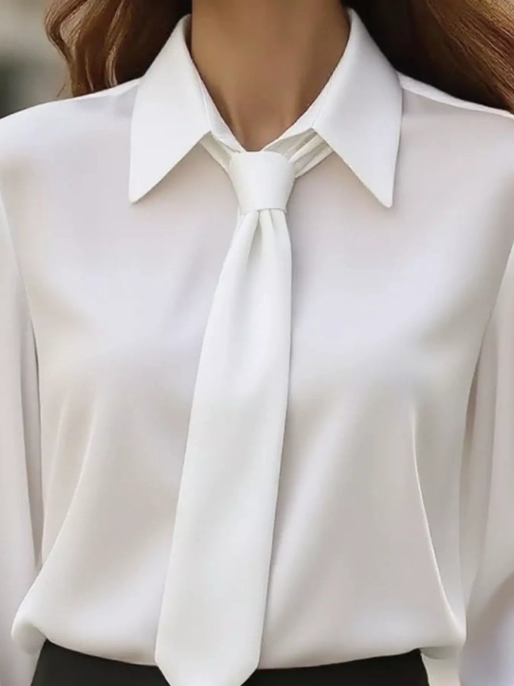 Collared Neck Long Sleeve Blouse