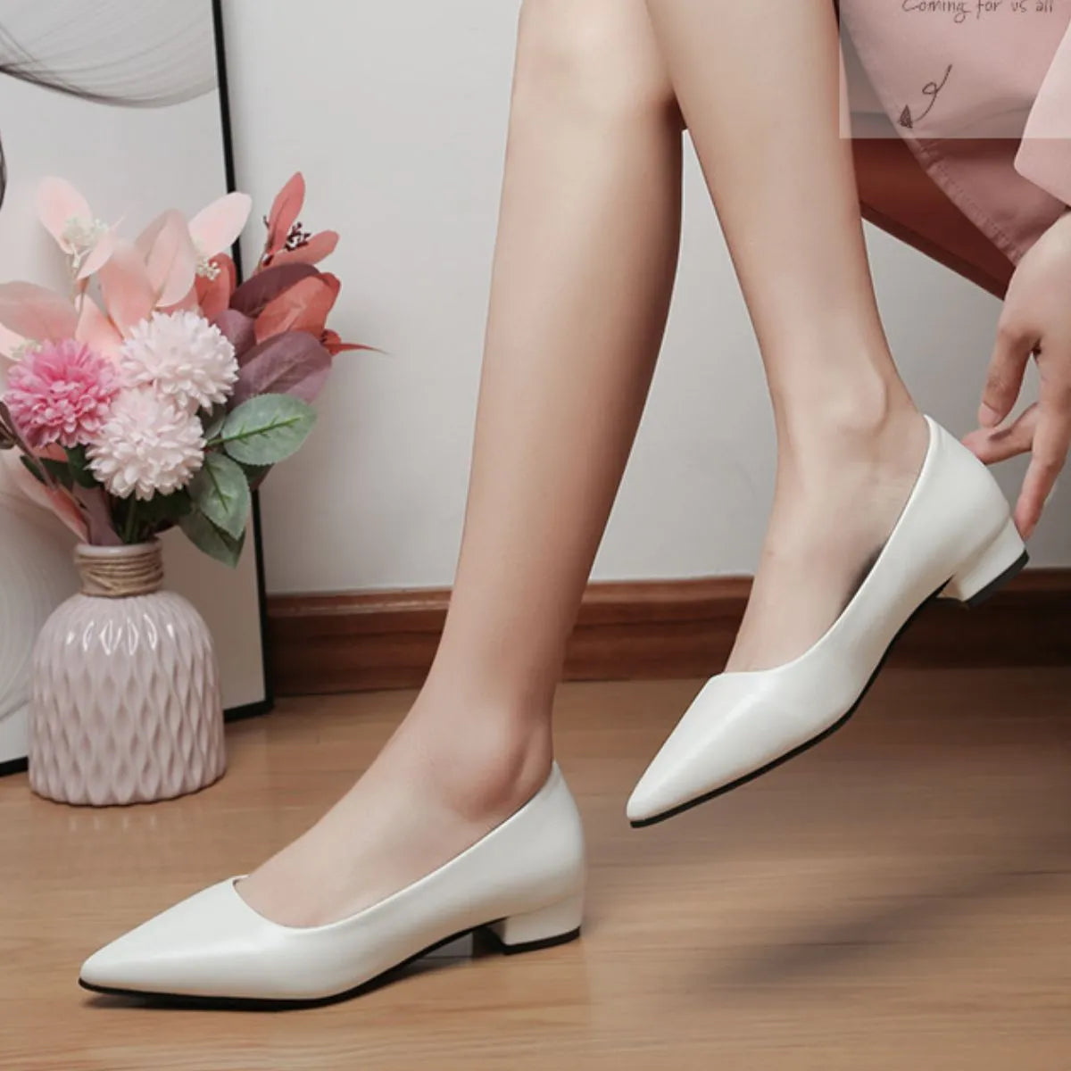Pointed Toe Low Heel Pump