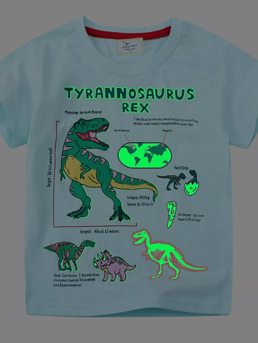 Children's Dinosaur Graphic Short Sleeve T-Shirt