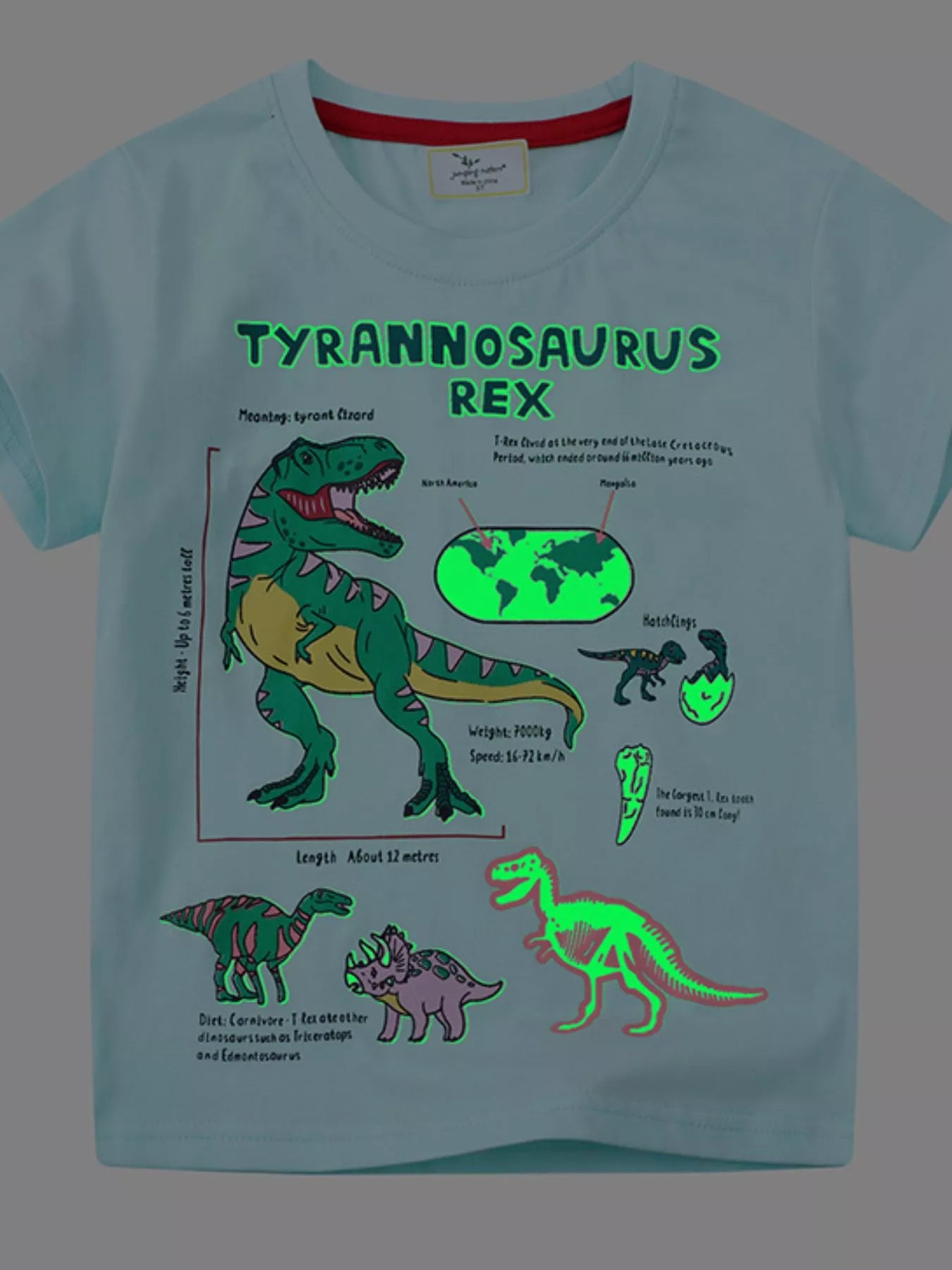 Children's Dinosaur Graphic Short Sleeve T-Shirt
