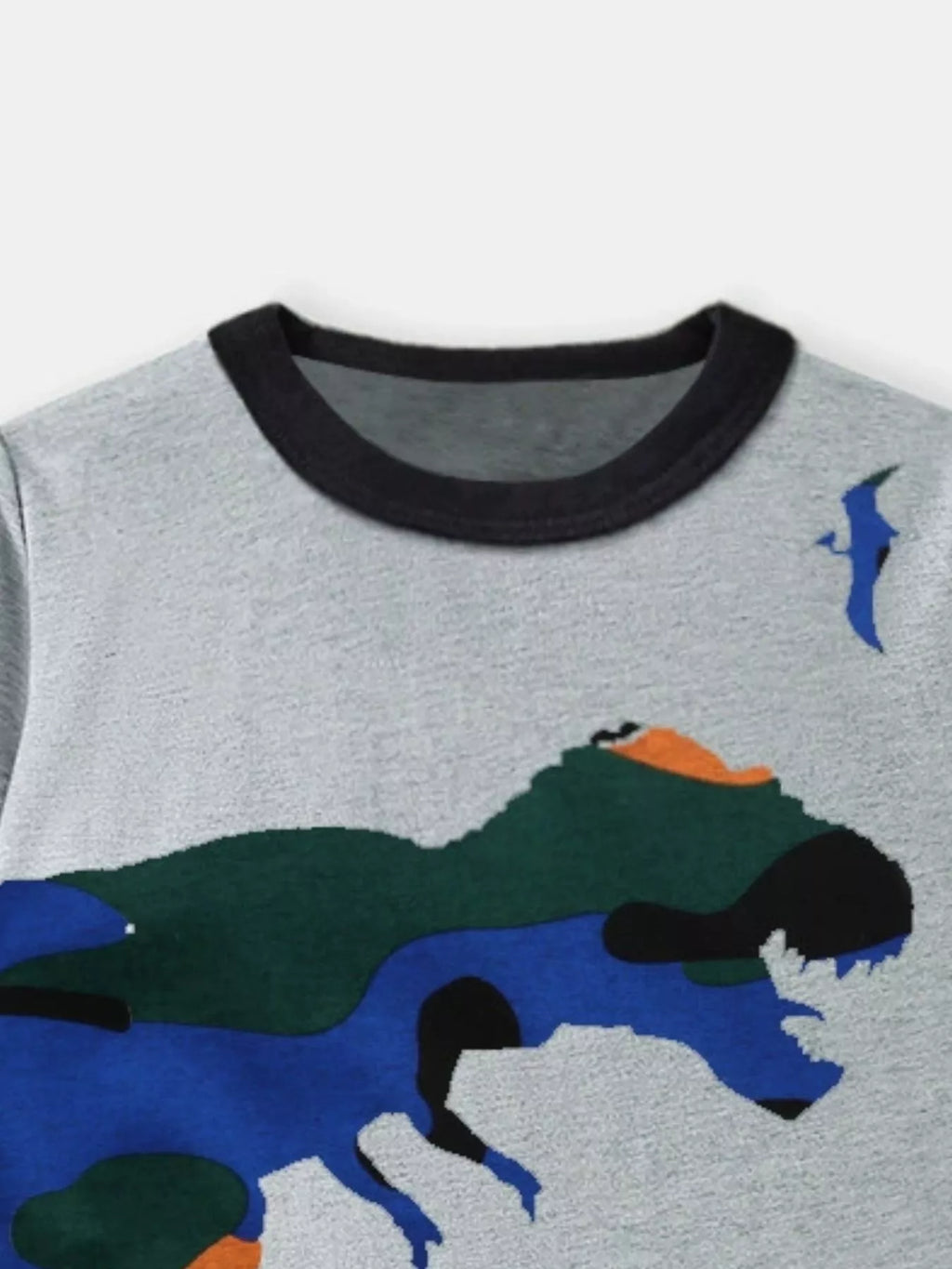 Children's Dinosaur Graphic Round Neck T-Shirt