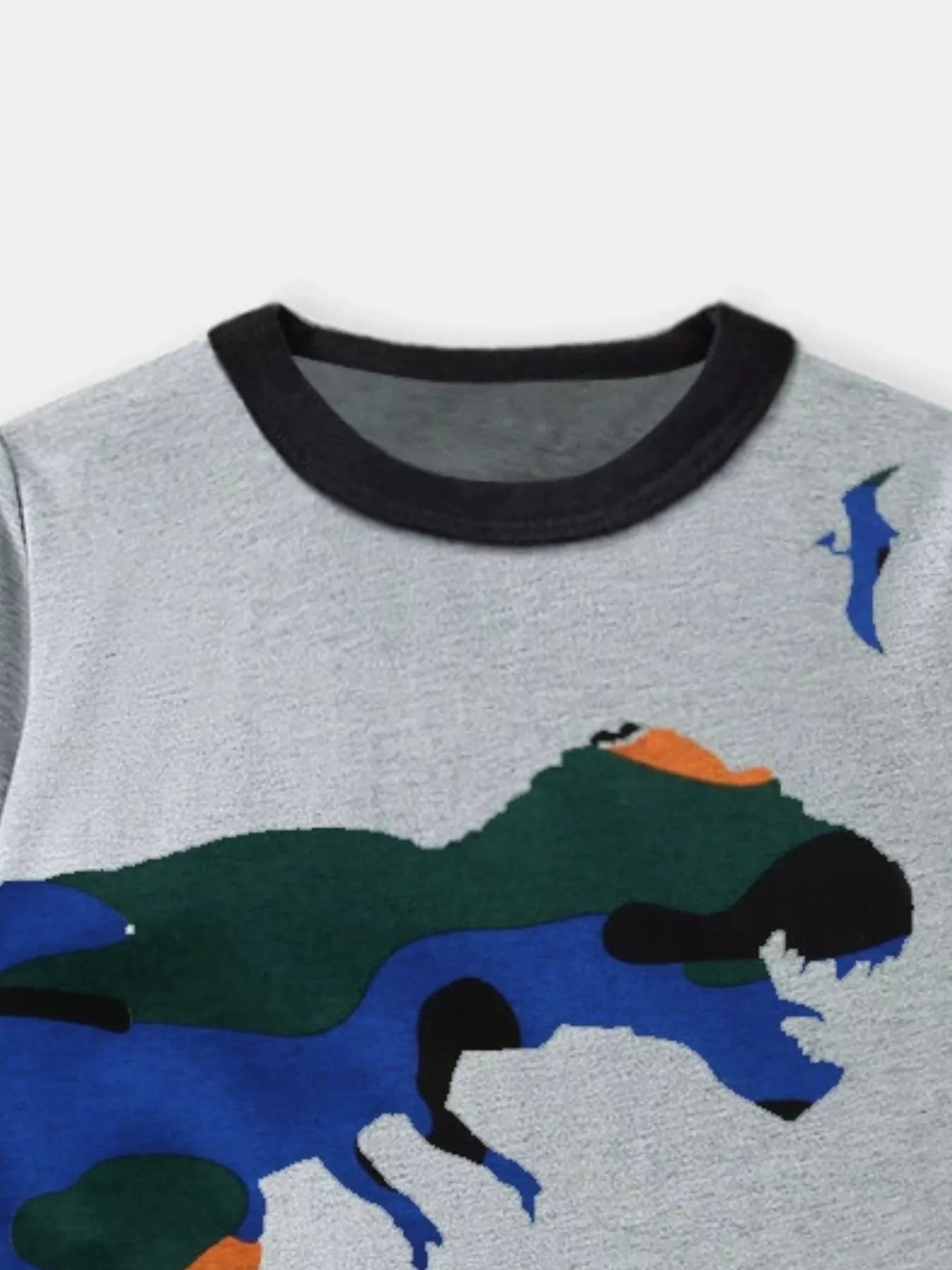 Children's Dinosaur Graphic Round Neck T-Shirt