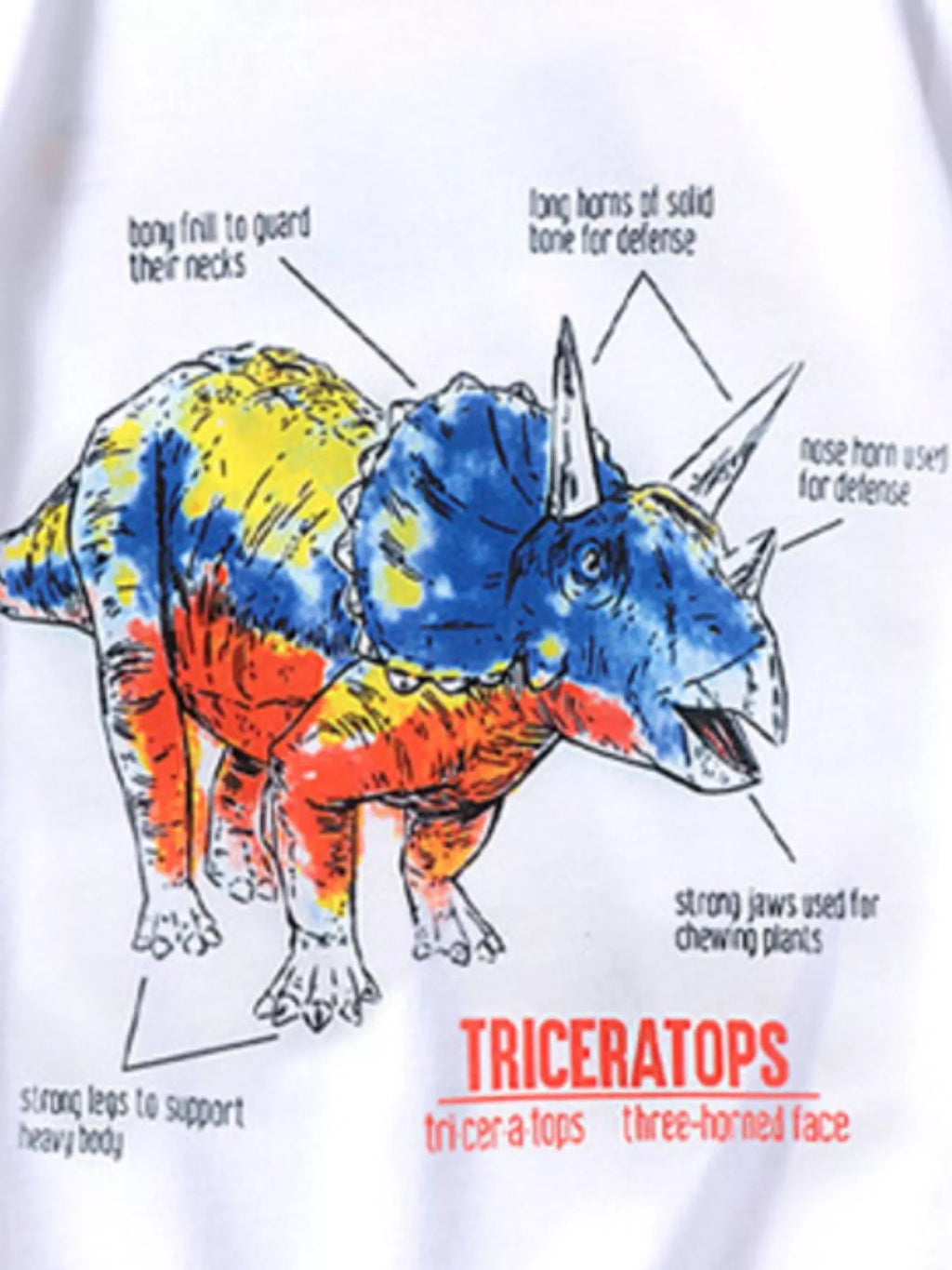 Children's Dinosaur Triceratops Graphic T-Shirt