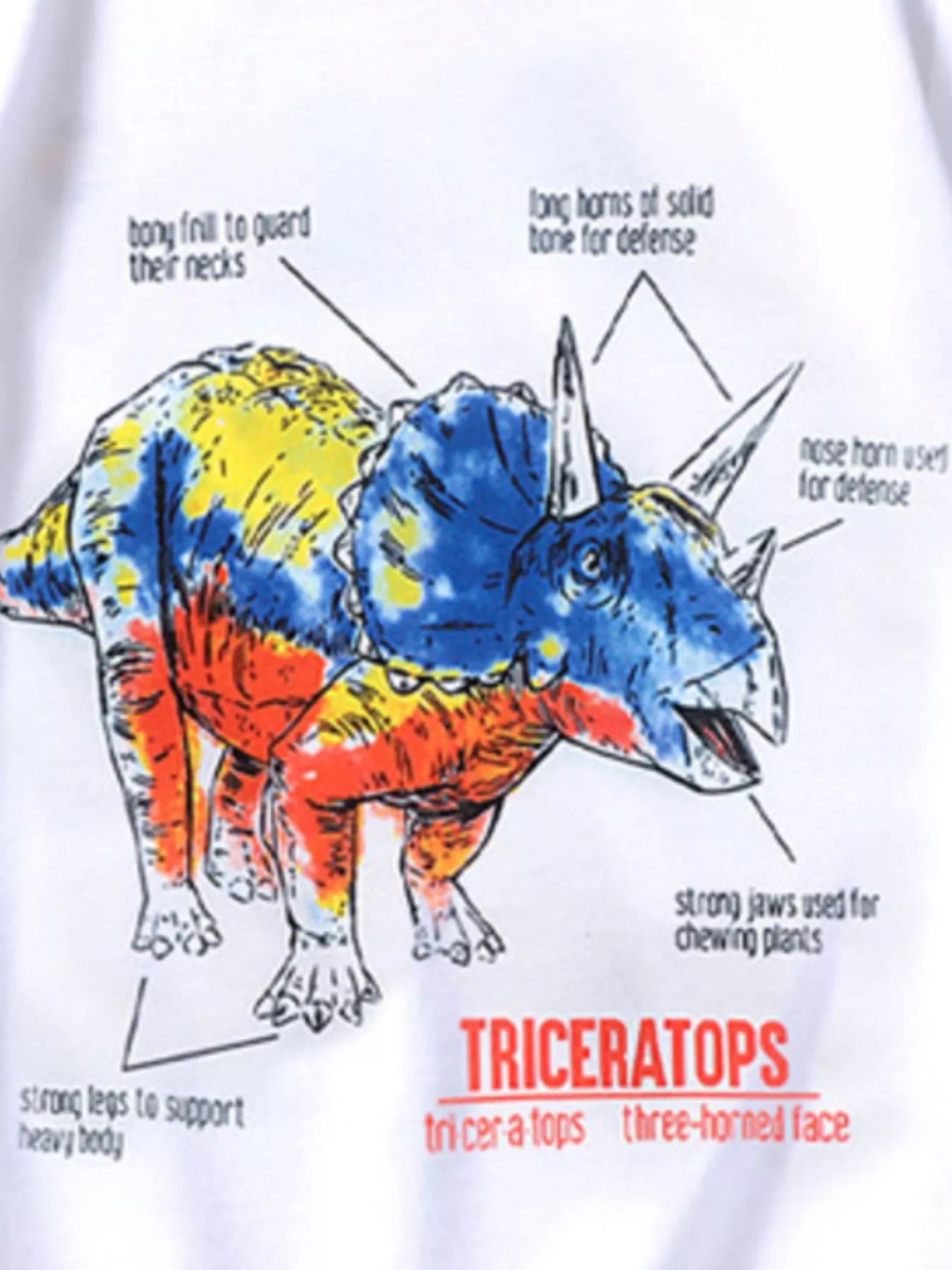 Children's Dinosaur Triceratops Graphic T-Shirt