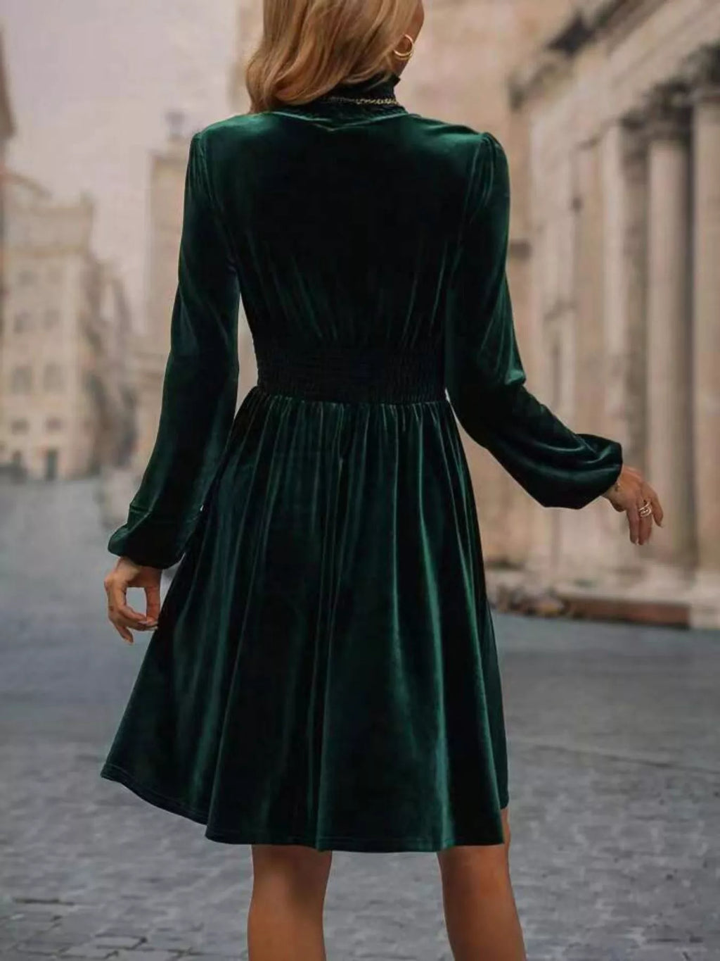 Velvet High Neck Long Sleeve A-Line Dress