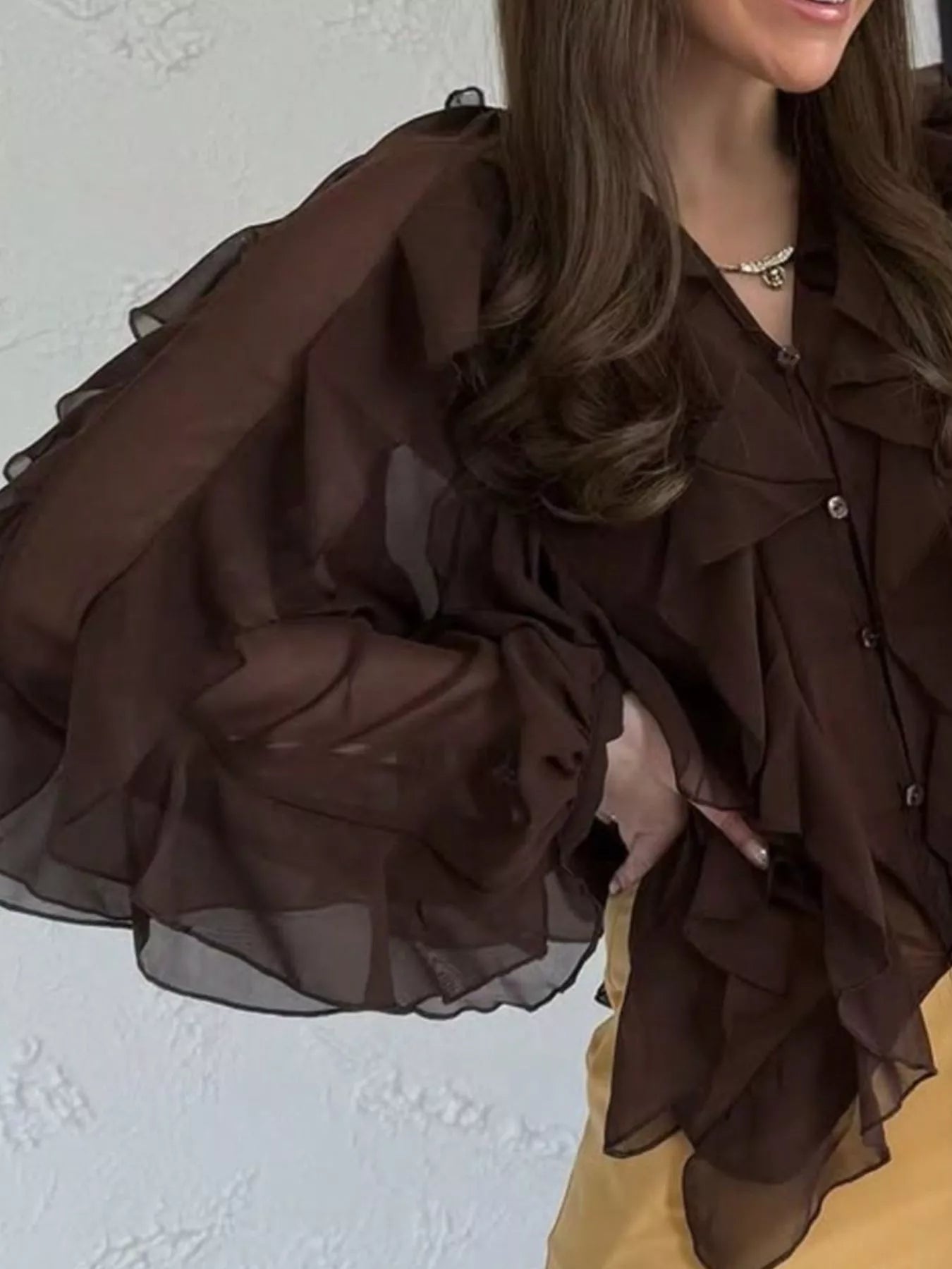 Ruffled Sheer Long Sleeve Blouse