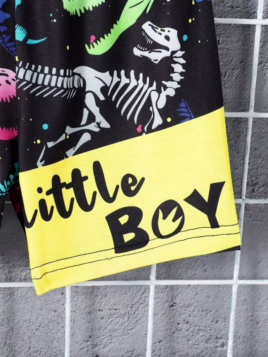 Children's Mommy's Little Boy Dinosaur Print Casual Set
