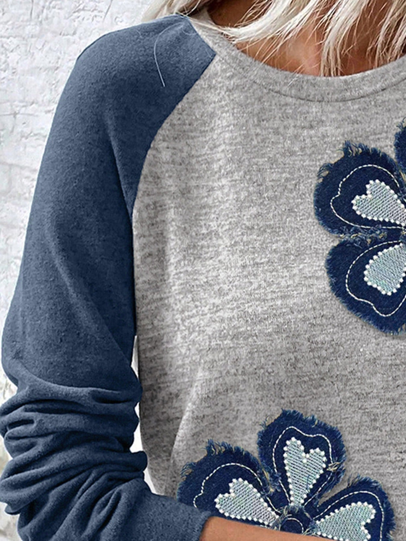 Color Block Flower Embroidered Patch Graphic Raglan Long Sleeve Top