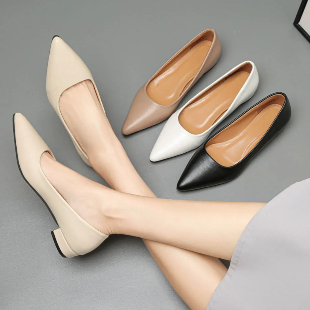 Pointed Toe Low Heel Pump