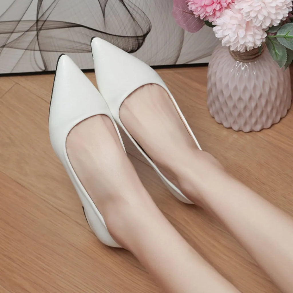 Pointed Toe Low Heel Pump