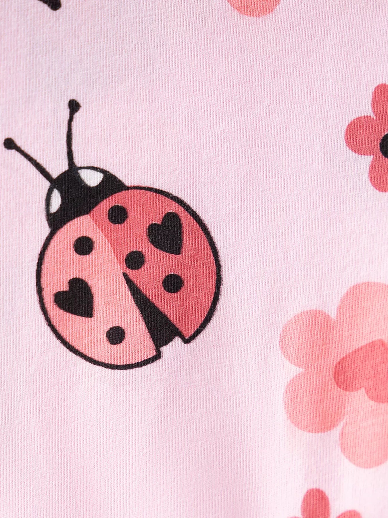 Children's Ladybug & Floral Print Two-Piece Set