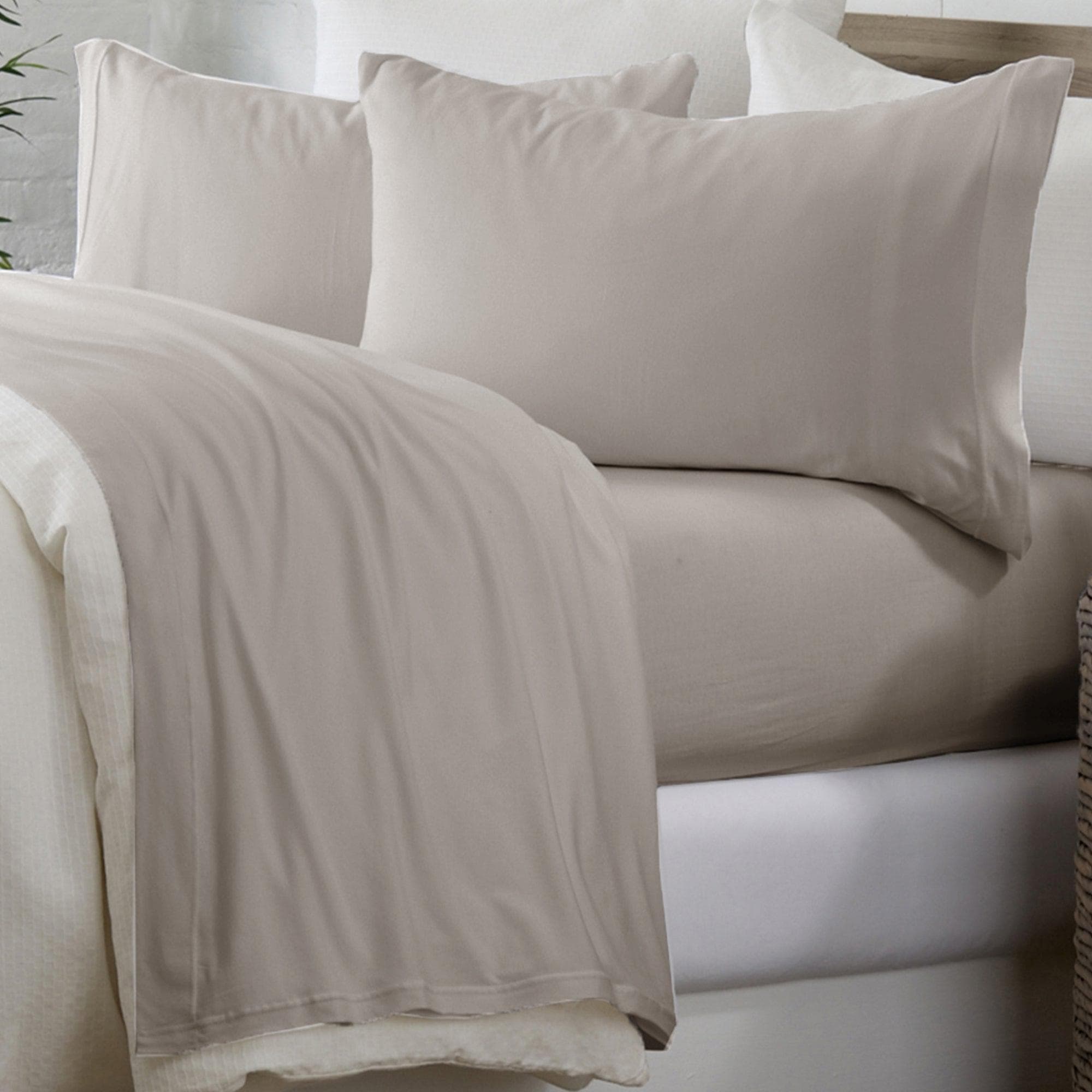 Cotton Sheet Set - Murphy Collection