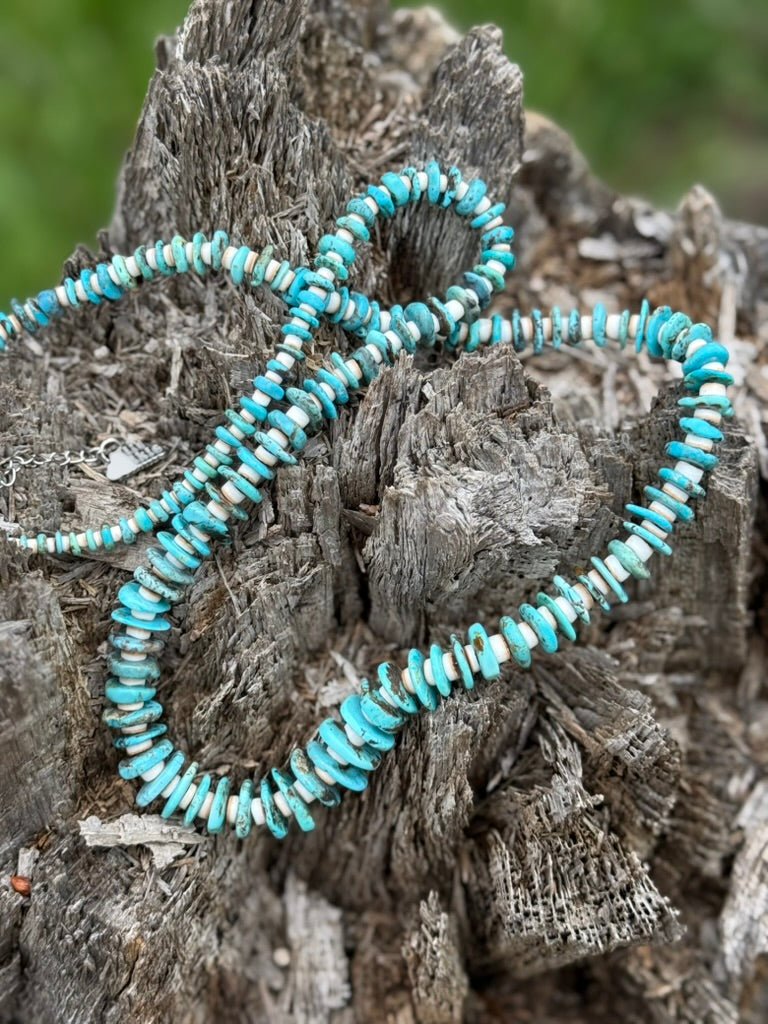 Southwest Heishi Long Strand Beaded Necklace