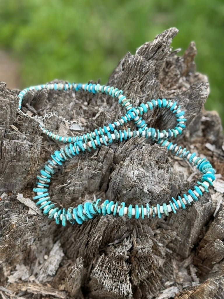 Southwest Heishi Long Strand Beaded Necklace