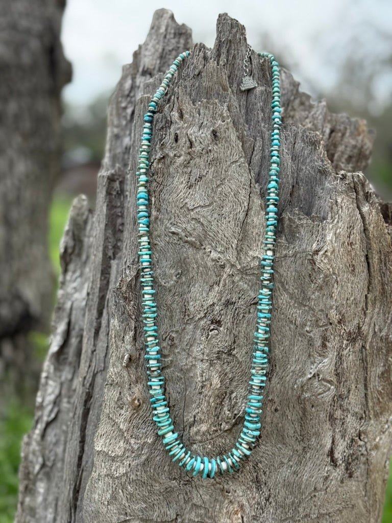 Southwest Heishi Long Strand Beaded Necklace